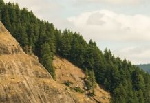 Ora lo que tienes en el corazón