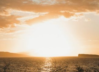 Lecciones inolvidables