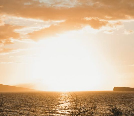 Lecciones inolvidables