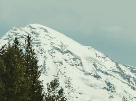 Gozo y fuerza en Dios
