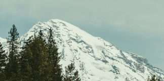 Gozo y fuerza en Dios