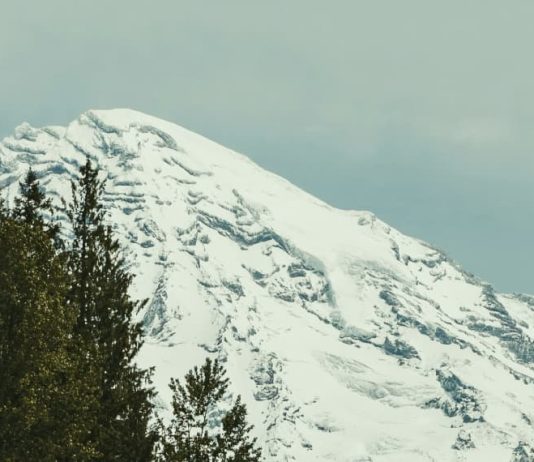 Gozo y fuerza en Dios