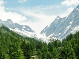 Una caja de jugo vacía