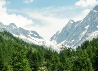 Una caja de jugo vacía