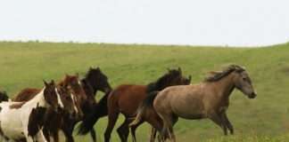 Conocer y amar a otros