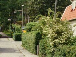 ¿Quién es mi prójimo?