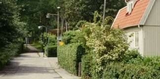 ¿Quién es mi prójimo?