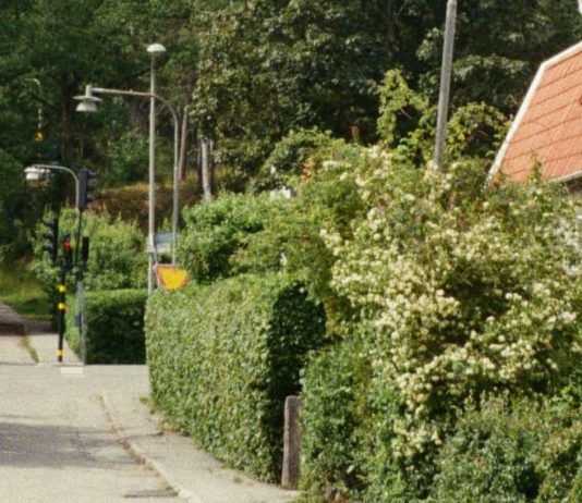 ¿Quién es mi prójimo?