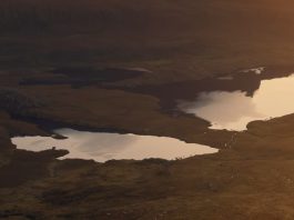 Llevar la buena noticia