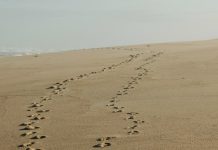 Envíame a tu pueblo