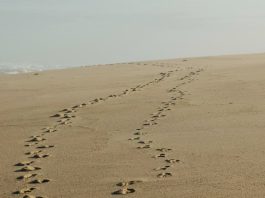 Envíame a tu pueblo