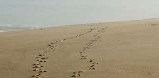 Envíame a tu pueblo