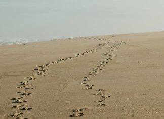 Envíame a tu pueblo