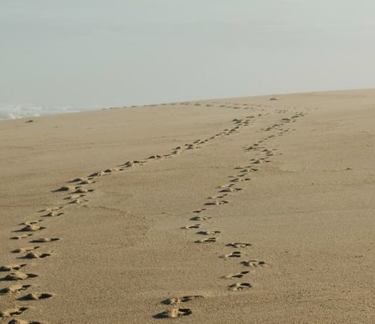 Envíame a tu pueblo