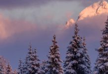 De temeroso a gozoso