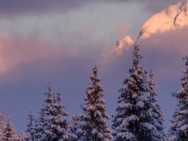 De temeroso a gozoso