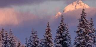 De temeroso a gozoso