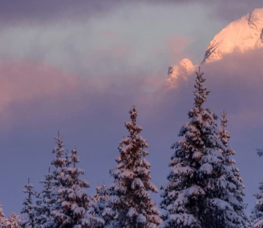 De temeroso a gozoso