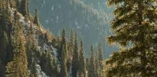 Jesús, el mejor regalo