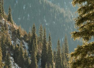 Jesús, el mejor regalo