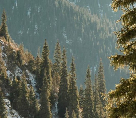 Jesús, el mejor regalo