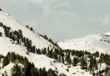 Cuando Dios no lo soluciona