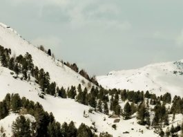 Cuando Dios no lo soluciona