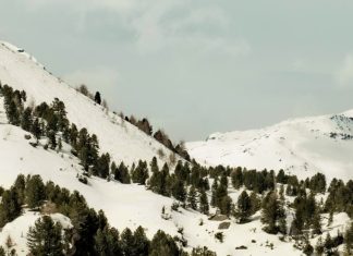 Cuando Dios no lo soluciona