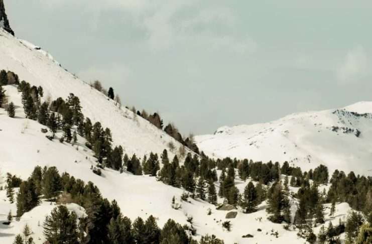 Cuando Dios no lo soluciona