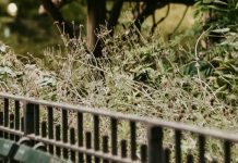 El banco de la amistad