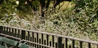 El banco de la amistad