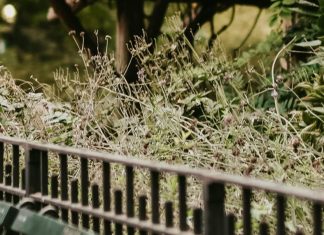 El banco de la amistad