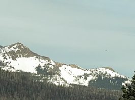 La hermosa creación de Dios