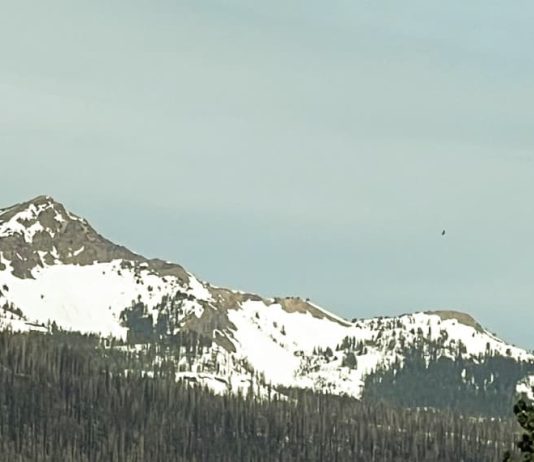 La hermosa creación de Dios