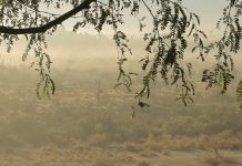 Las guerras de los huesos