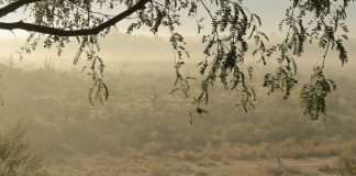 Las guerras de los huesos