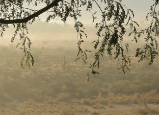 Las guerras de los huesos