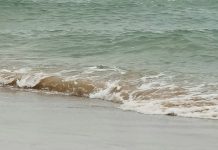 El futuro que Dios está preparando