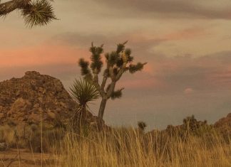 Dar gracias a Dios por sus regalos