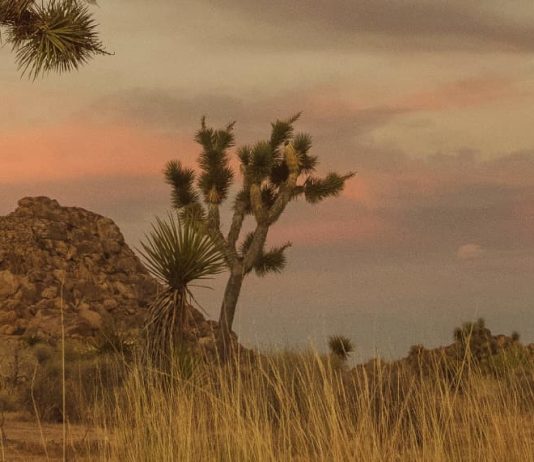 Dar gracias a Dios por sus regalos