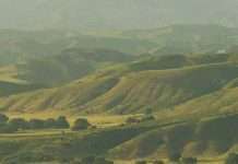 Un corazón ensanchado