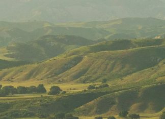 Un corazón ensanchado