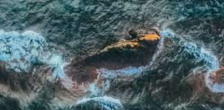 Sobrevivientes por la misericordia de Dios