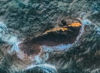 Sobrevivientes por la misericordia de Dios