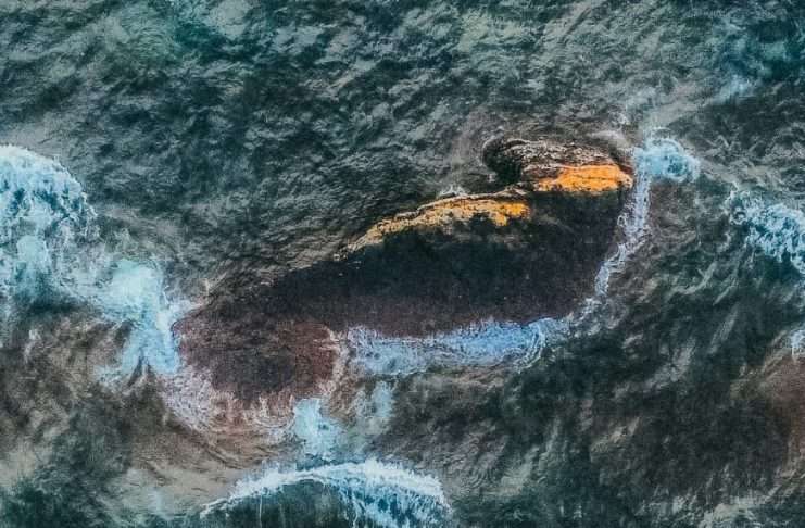 Sobrevivientes por la misericordia de Dios