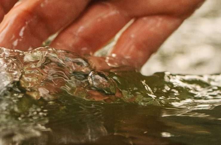 Al alcance de Dios