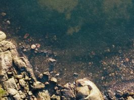 La misericordia y nuestro desastre