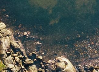 La misericordia y nuestro desastre