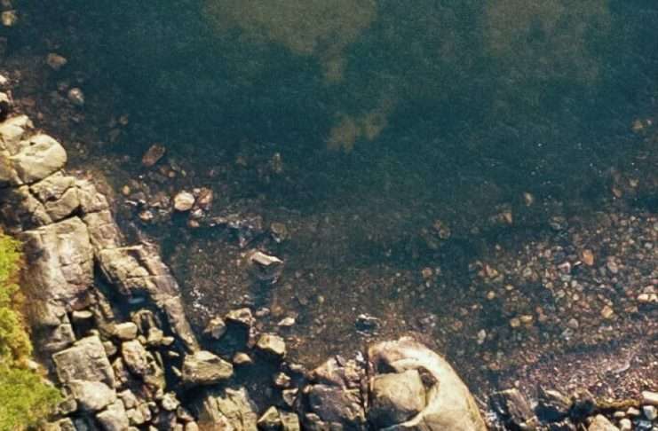 La misericordia y nuestro desastre