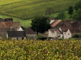 De la angustia a la alabanza